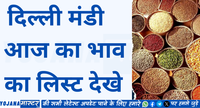 Delhi मंडी 18 मार्च: चना, मूंग, मोठ भाव में तेजी, गेहूं, मसूर में मंदा, देखें आज के दाम