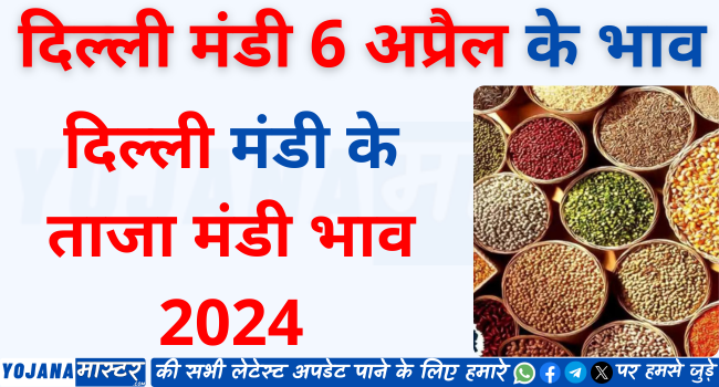 Delhi Mandi Bhav 6 April | देखे आज के दिल्ली मंडी के ताजा मंडी भाव 2024